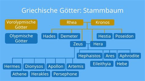 die 12 götter des olymp stammbaum